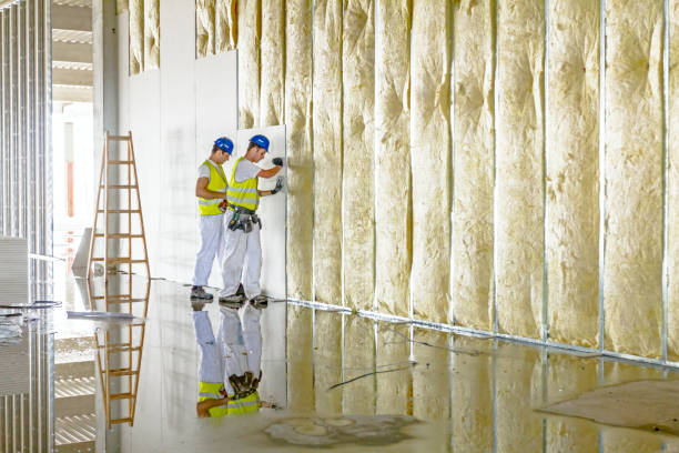 Best Crawl Space Insulation  in Senatobia, MS